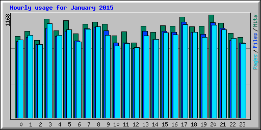 Hourly usage for January 2015